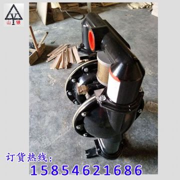 點擊查看詳細信息<br>標題：氣動隔膜泵著名品牌-氣動隔膜泵廠家 閱讀次數(shù)：2017