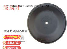 點擊查看詳細信息<br>標題：氣動隔膜泵配件-隔膜片 閱讀次數：315